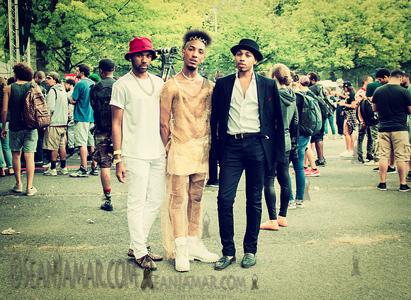 Afropunk Festival - Commodore Barry Park - BK USA - 2014