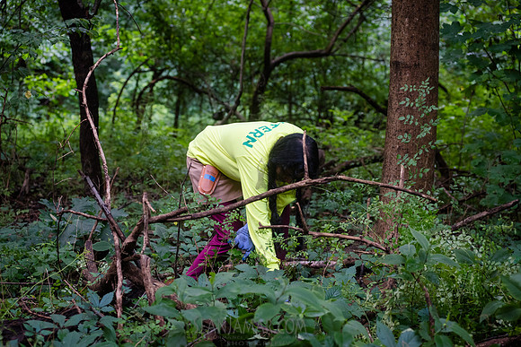 NYC Green Fund - Van Cortlandt Park Alliance Intern Training - V