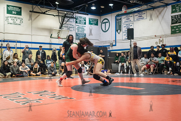 PSAL Girls Individual Championships - Harry S Truman HS - NYC -