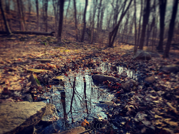 High Mountain Preserve