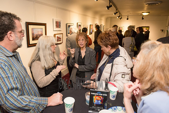 TCC - Through Our Eyes - Sandy Bennett Art Gallery - Bergen PAC - Englewood NJ - 2018