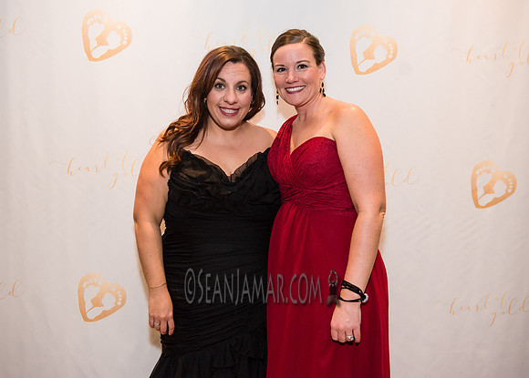 Heart of Gold Gala - The Fiesta - Woodridge NJ - 2016