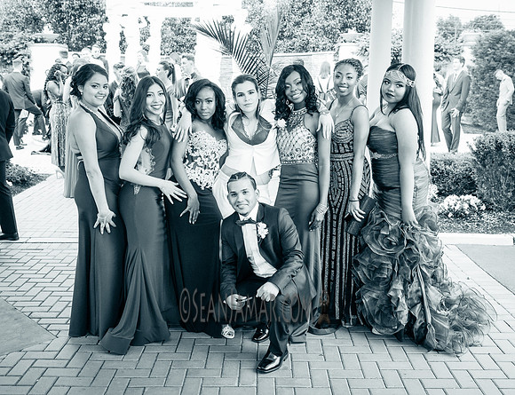Tamorae Binns - Senior Prom - NJ - 2017