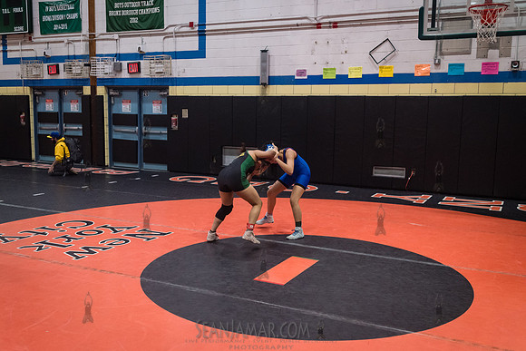 PSAL Girls Individual Championships - Harry S Truman HS - NYC -