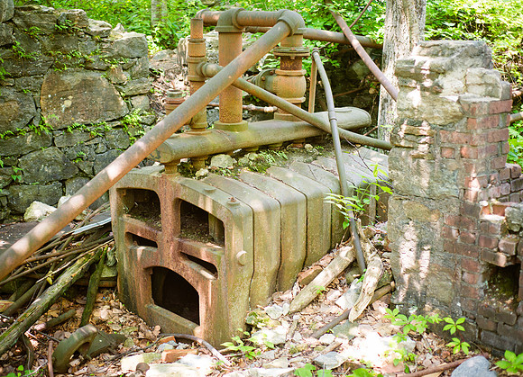 Adventure Day - Ramapo Mountain State Forest - Oakland NJ - 2015