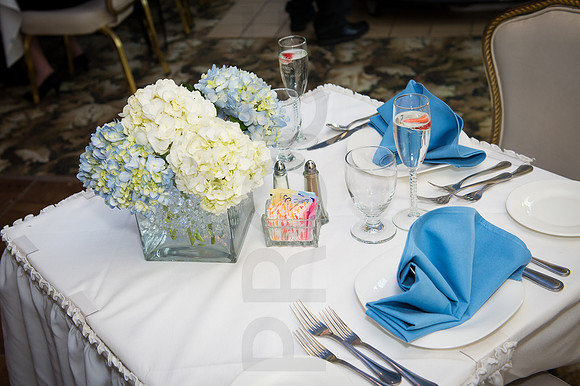 Mr & Mrs Charlie Tejeda - Paris Inn - Wayne NJ - 2014