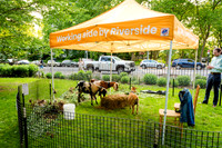 Riverside Park Conservancy - Riverside Revue Gala - Sakura Pak -