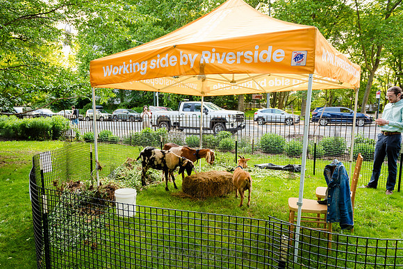 Riverside Park Conservancy - Riverside Revue Gala - Sakura Pak -