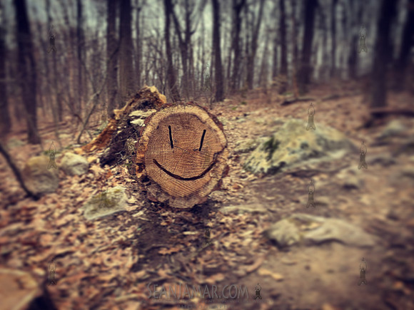 Allamuchy Mountain State Park