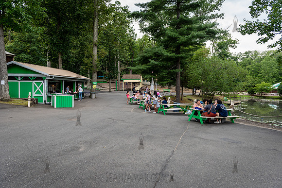 ARUP Company Picnic - Black Bear Lake - Millstone Township NJ -