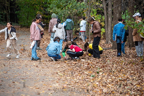 CPF Learn - Seeds To Trees - Prospect Park - NYC - 2024