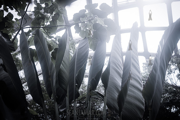 Adventure Day Colorado - Denver Botanical Garden - Denver Co - 2018