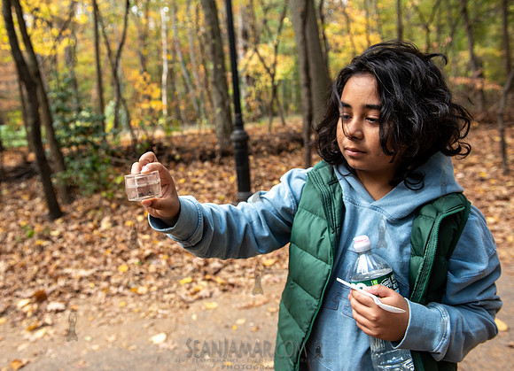 CPF Learn - Seeds To Trees - Prospect Park - NYC - 2024