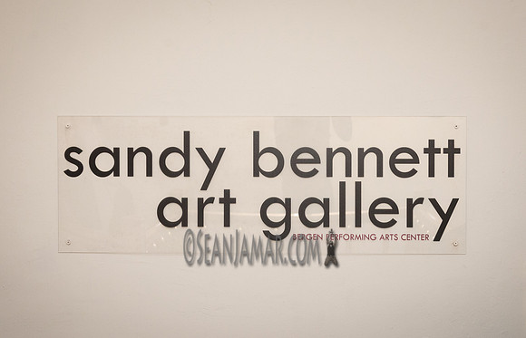 TCC - Through Our Eyes - Sandy Bennett Art Gallery - Bergen PAC - Englewood NJ - 2018