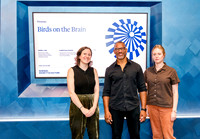 Simons Foundation Presents - Birds on the Brain - Simons Foundat