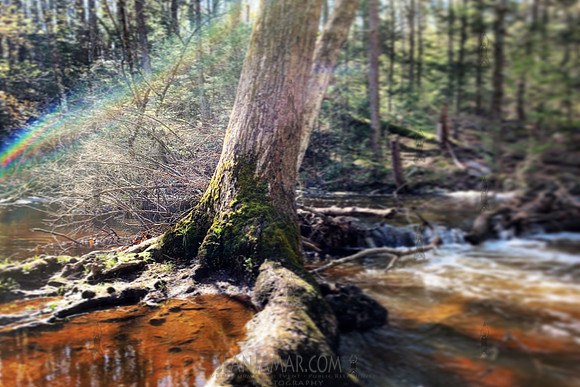 Hacklebarney County Park
