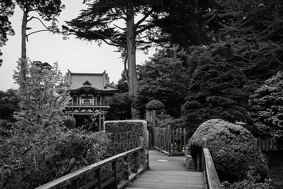 Adventure Day - San Francisco CA - 2017