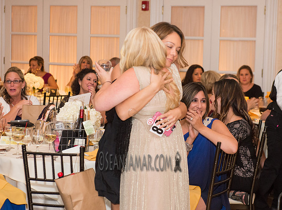 Heart of Gold Gala - The Fiesta - Woodridge NJ - 2016