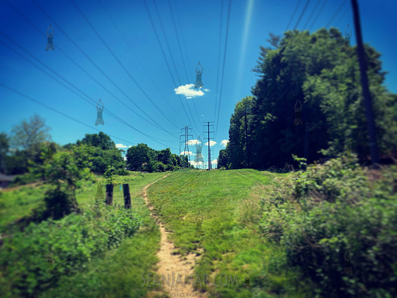 Lenape Trail