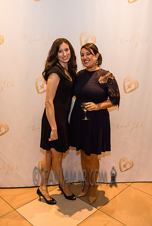 Heart of Gold Gala - The Fiesta - Woodridge NJ - 2016
