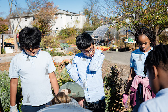 CPF Learn - Learning Gardens Liberty Learning Garden - NYC - 202