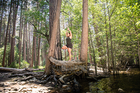 Adventure Day - Yosemite National Park - Yosemite Valley CA - 2017