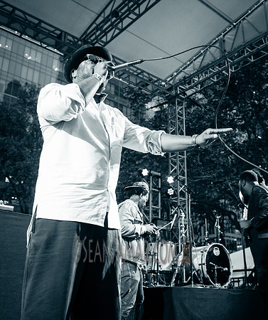 Black Thoughts Live Mixtape - Roots Picnic - Bryant Park - NYC - 2016