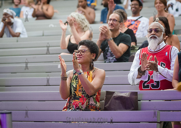 NYC SummerStage - Blacktronica Festival - Marcus Garvey Park - N