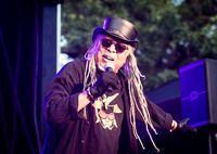 Strafe - NYC SummerStage - Doug E Fresh + Funk Flex Hip Hop Appr