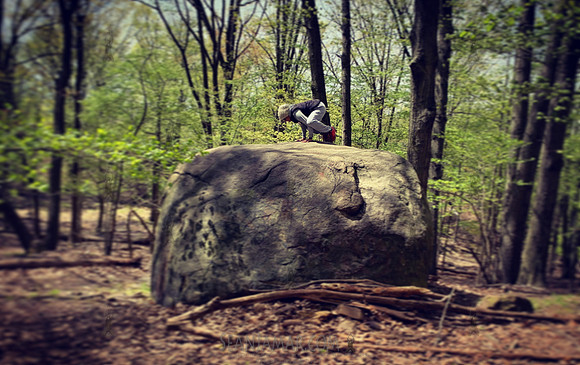 Garrett Mountain