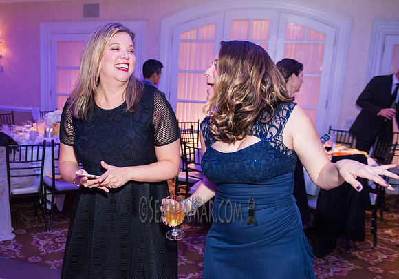 Heart of Gold Gala - The Fiesta - Woodridge NJ - 2016