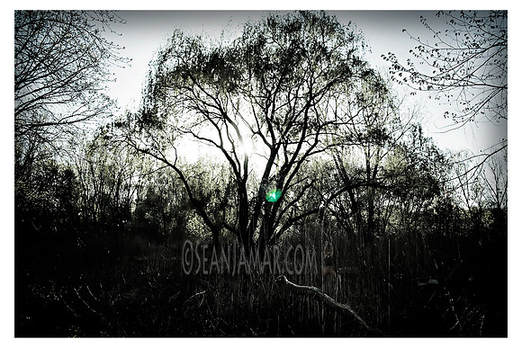 DSC_00631-Edit
