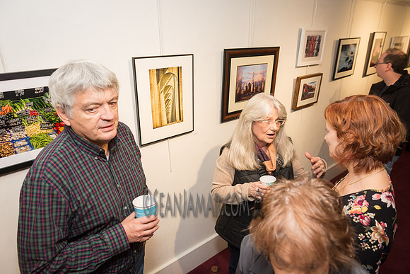 TCC - Through Our Eyes - Sandy Bennett Art Gallery - Bergen PAC - Englewood NJ - 2018