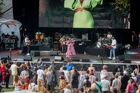 Alhanislam - NYC SummerStage - Femi Kuti - Rumsey Playfield - NY