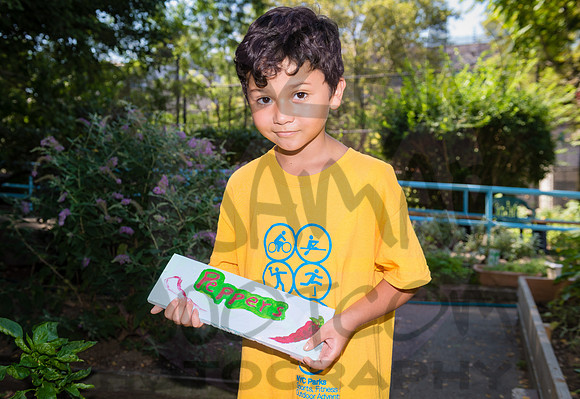 CPF Learning Gardens - Grove Hill Community Garden - NYC - 2019
