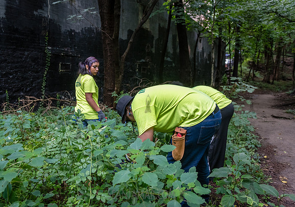NYC Green Fund - Van Cortlandt Park Alliance Intern Training - V