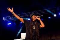 Busy Bee - NYC SummerStage - Doug E Fresh + Funk Flex Hip Hop Ap