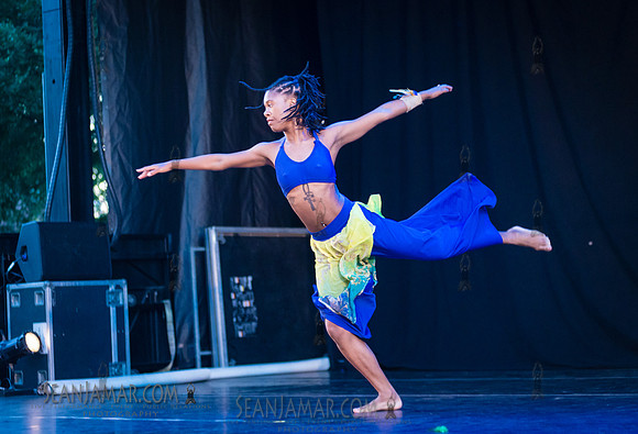 2019-06-21 2019-06-21 NYC SummerStage - Ronald K Brown Evidence A Dance Co - Von King Park - NYC-130.jpg