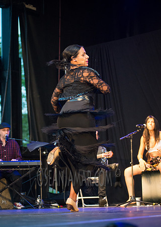 Nelida Tirado - Made in the Bronx presented by BAAD - St Marys Park - BX NYC - 2017