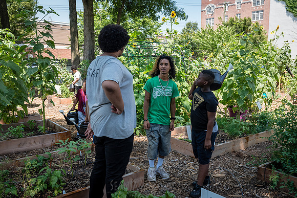 CPF Learning Gardens - Abib Newborn - NYC -2025