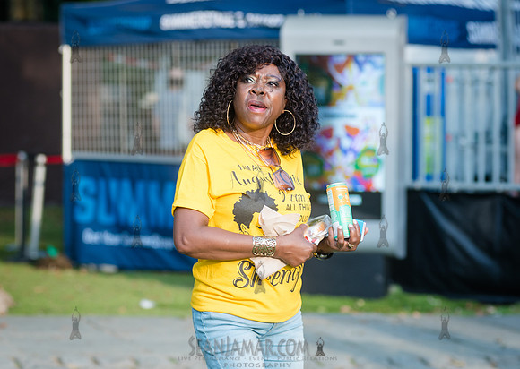 CPF SummerStage - VP Recprds 45th Anniversary - Rumsey Playfield