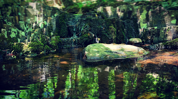 High Mountain Preserve