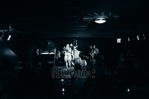 Ms Blu - Zinc Bar - NYC - 2016