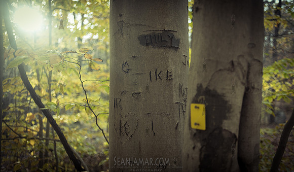 Adventure Day - Ramapo Mountain State Park - NJ - 2020