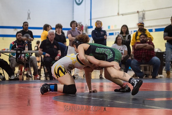 PSAL Girls Individual Championships - Harry S Truman HS - NYC -