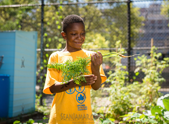 CPF Learning Gardens - Grove Hill Community Garden - NYC - 2019