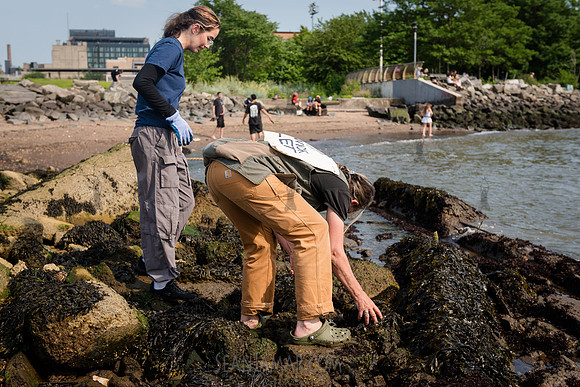 CPF - Coastal Classrooms - Bushwick Inlet Park - NYC - 2025