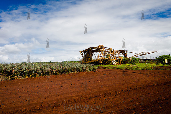 Dole Plantation - Leahi Beach Park