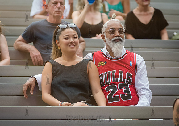 NYC SummerStage - Blacktronica Festival - Marcus Garvey Park - N