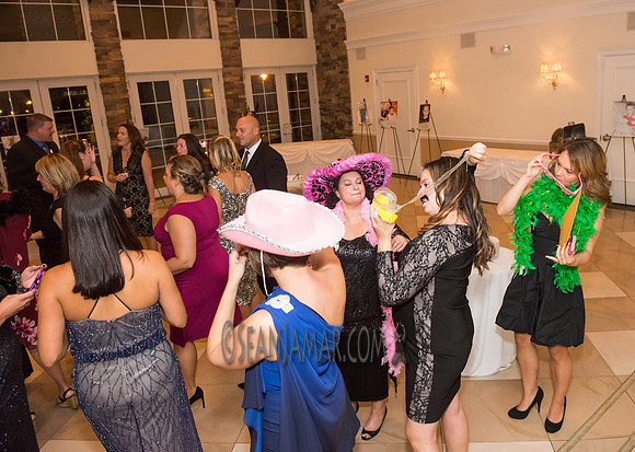 Heart of Gold Gala - The Fiesta - Woodridge NJ - 2016